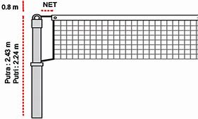 Net Voli Putra